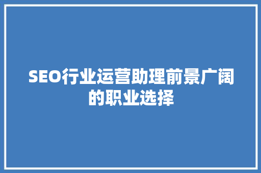SEO行业运营助理前景广阔的职业选择
