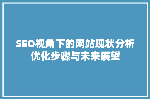 SEO视角下的网站现状分析优化步骤与未来展望
