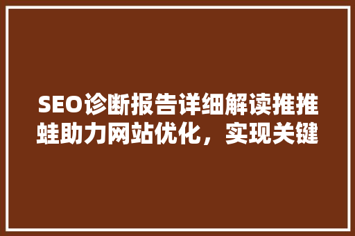 SEO诊断报告详细解读推推蛙助力网站优化，实现关键词布局之路