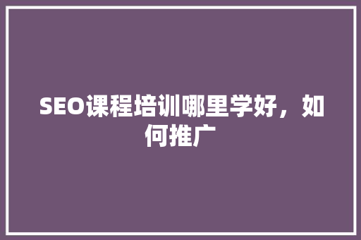 SEO课程培训哪里学好，如何推广