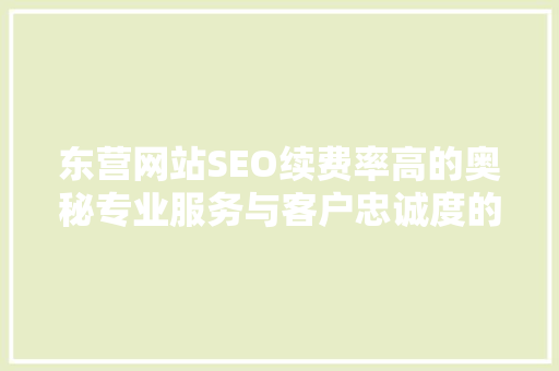 东营网站SEO续费率高的奥秘专业服务与客户忠诚度的完美结合