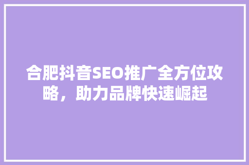合肥抖音SEO推广全方位攻略，助力品牌快速崛起