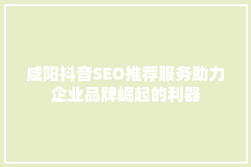 咸阳抖音SEO推荐服务助力企业品牌崛起的利器