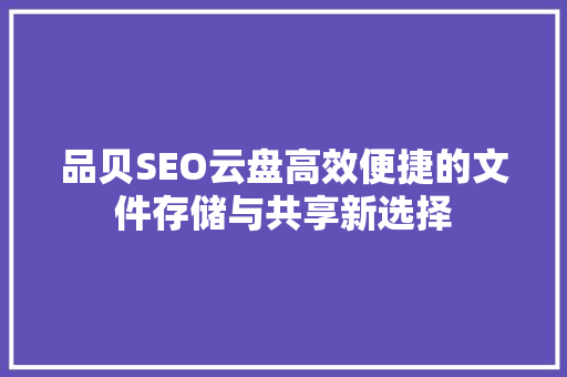 品贝SEO云盘高效便捷的文件存储与共享新选择