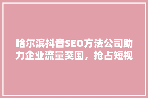 哈尔滨抖音SEO方法公司助力企业流量突围，抢占短视频市场高地