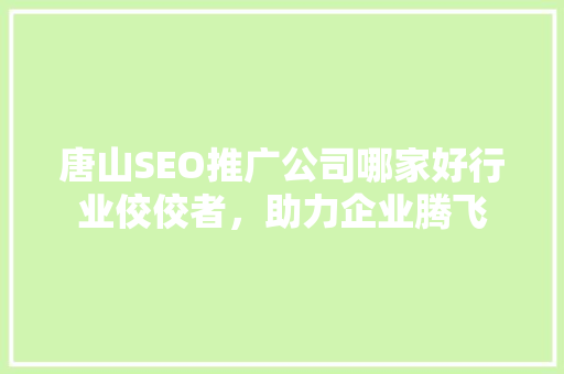 唐山SEO推广公司哪家好行业佼佼者，助力企业腾飞