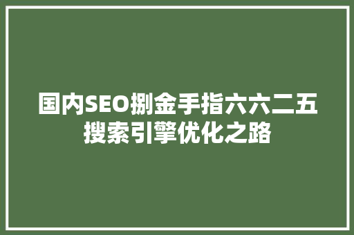 国内SEO捌金手指六六二五搜索引擎优化之路