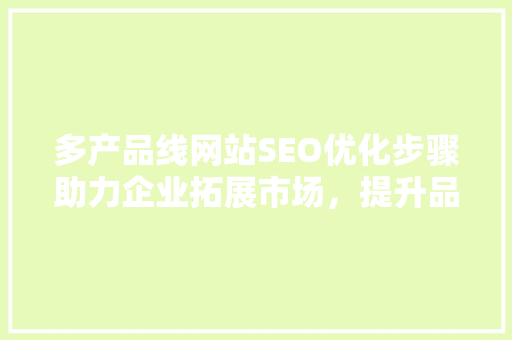 多产品线网站SEO优化步骤助力企业拓展市场，提升品牌影响力