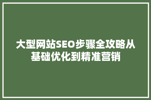 大型网站SEO步骤全攻略从基础优化到精准营销
