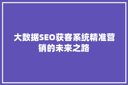 大数据SEO获客系统精准营销的未来之路
