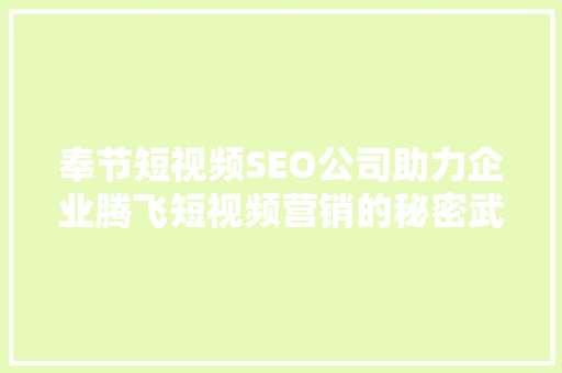 奉节短视频SEO公司助力企业腾飞短视频营销的秘密武器