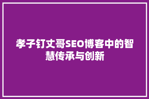 孝子钉丈哥SEO博客中的智慧传承与创新