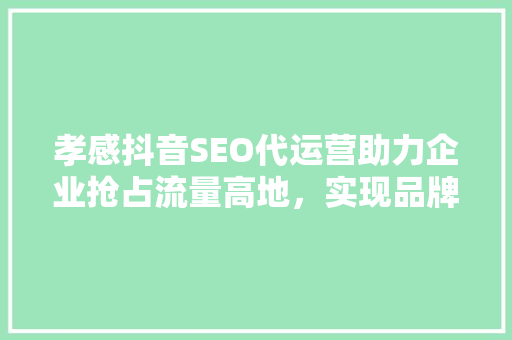 孝感抖音SEO代运营助力企业抢占流量高地，实现品牌飞跃
