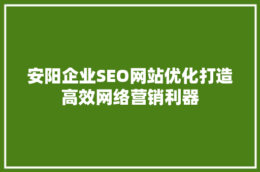 安阳企业SEO网站优化打造高效网络营销利器