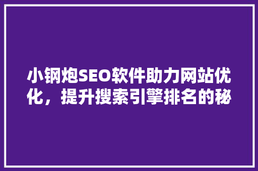小钢炮SEO软件助力网站优化，提升搜索引擎排名的秘密武器