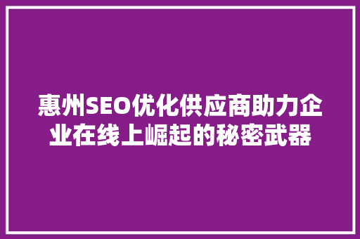 惠州SEO优化供应商助力企业在线上崛起的秘密武器