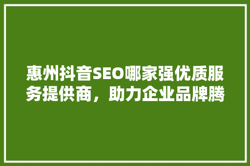 惠州抖音SEO哪家强优质服务提供商，助力企业品牌腾飞