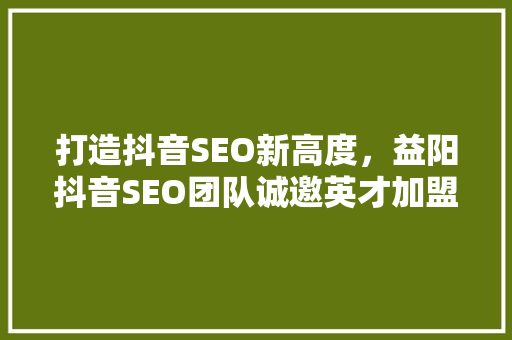 打造抖音SEO新高度，益阳抖音SEO团队诚邀英才加盟