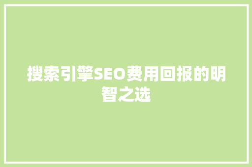 搜索引擎SEO费用回报的明智之选