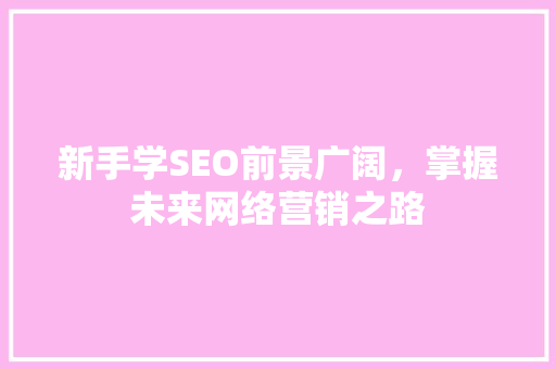 新手学SEO前景广阔，掌握未来网络营销之路