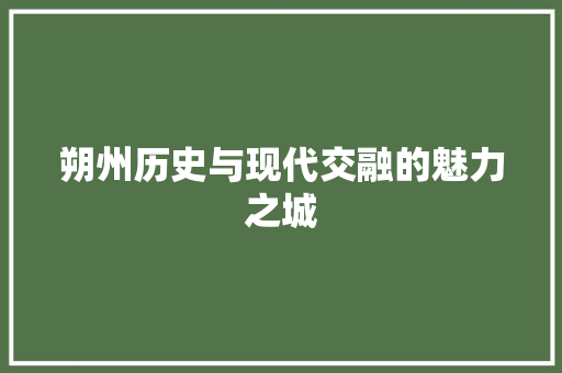 朔州历史与现代交融的魅力之城