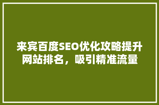 来宾百度SEO优化攻略提升网站排名，吸引精准流量