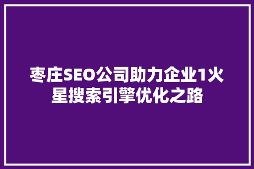 枣庄SEO公司助力企业1火星搜索引擎优化之路