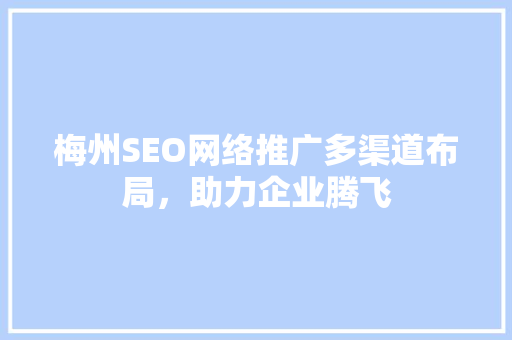 梅州SEO网络推广多渠道布局，助力企业腾飞