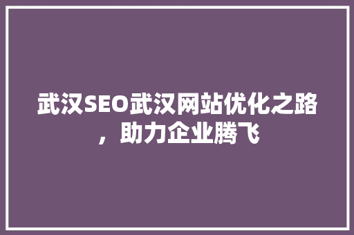 武汉SEO武汉网站优化之路，助力企业腾飞