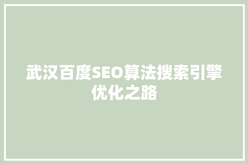 武汉百度SEO算法搜索引擎优化之路