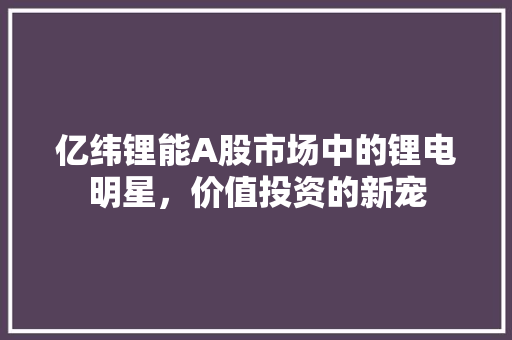 亿纬锂能A股市场中的锂电明星，价值投资的新宠