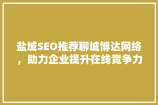 盐城SEO推荐聊城博达网络，助力企业提升在线竞争力