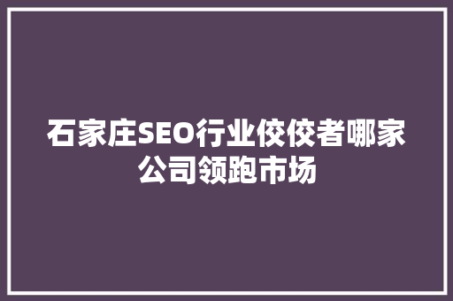 石家庄SEO行业佼佼者哪家公司领跑市场