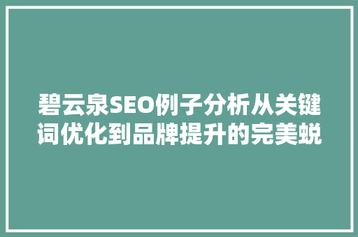 碧云泉SEO例子分析从关键词优化到品牌提升的完美蜕变