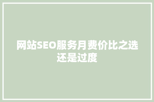 网站SEO服务月费价比之选还是过度