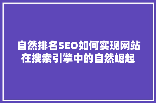 自然排名SEO如何实现网站在搜索引擎中的自然崛起