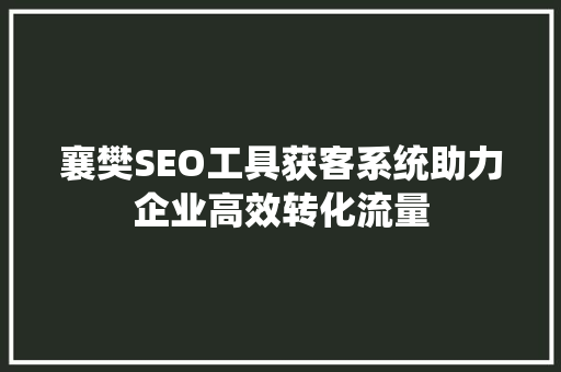 襄樊SEO工具获客系统助力企业高效转化流量