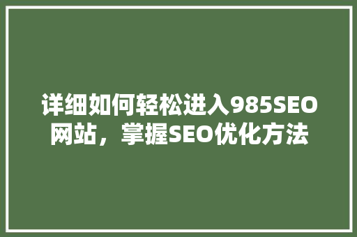 详细如何轻松进入985SEO网站，掌握SEO优化方法