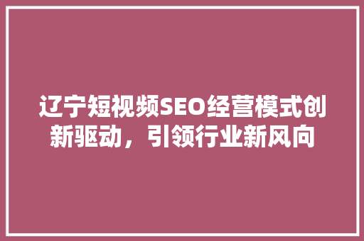 辽宁短视频SEO经营模式创新驱动，引领行业新风向