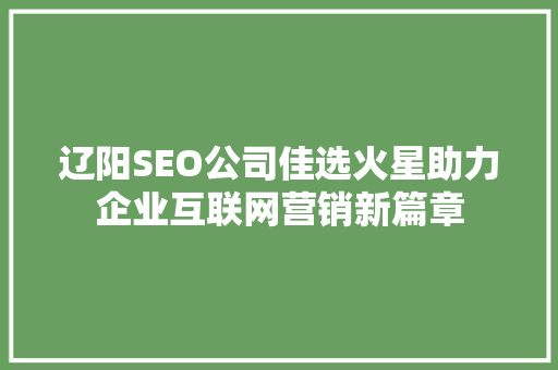 辽阳SEO公司佳选火星助力企业互联网营销新篇章