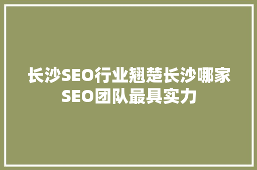长沙SEO行业翘楚长沙哪家SEO团队最具实力