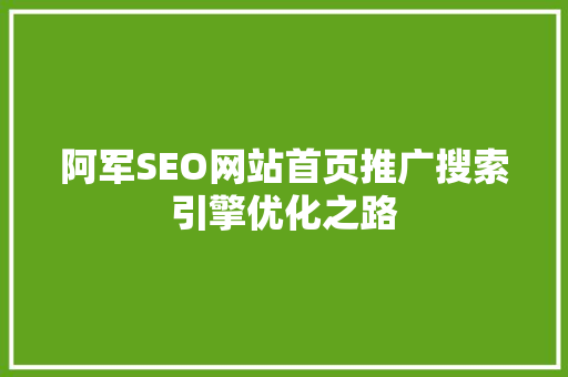 阿军SEO网站首页推广搜索引擎优化之路  第1张