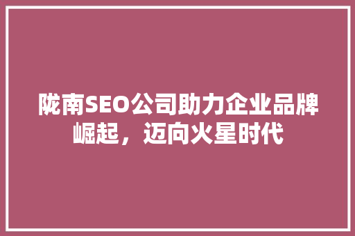 陇南SEO公司助力企业品牌崛起，迈向火星时代