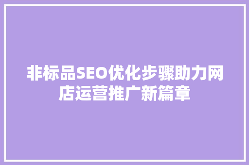 非标品SEO优化步骤助力网店运营推广新篇章