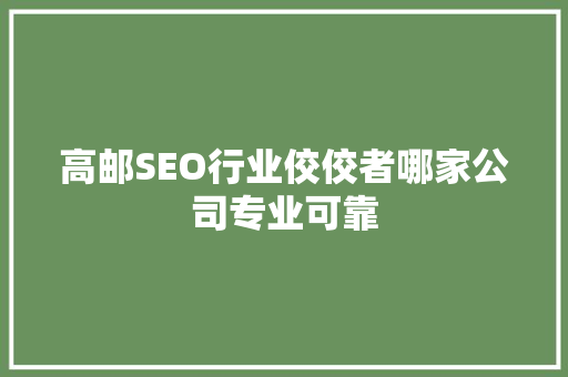 高邮SEO行业佼佼者哪家公司专业可靠