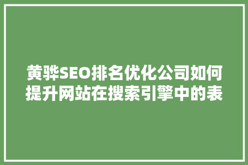 黄骅SEO排名优化公司如何提升网站在搜索引擎中的表现