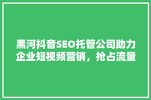 黑河抖音SEO托管公司助力企业短视频营销，抢占流量高地