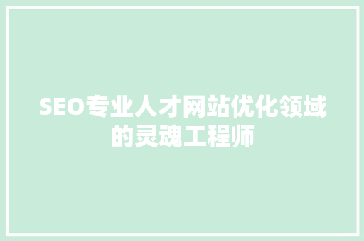 SEO专业人才网站优化领域的灵魂工程师
