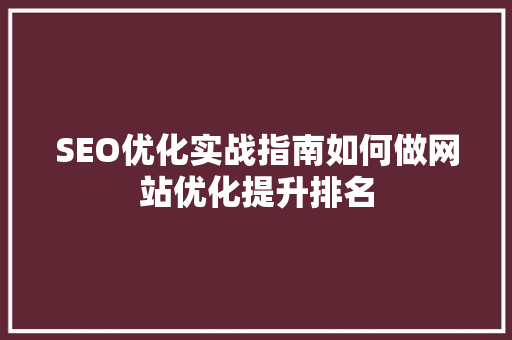 SEO优化实战指南如何做网站优化提升排名