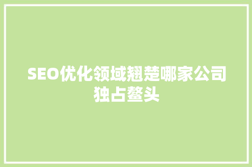 SEO优化领域翘楚哪家公司独占鳌头